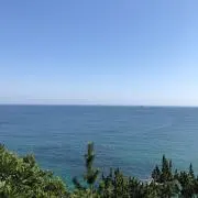 gonの画像