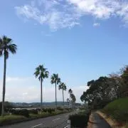 しーの画像