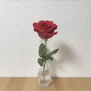 しの画像