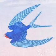 ユーヤケの画像