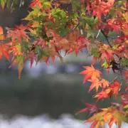 どこにでも居る人