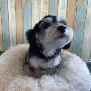mayue♡プロフ必読お願いします