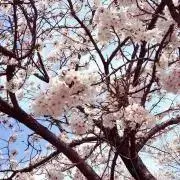 まるまるの画像