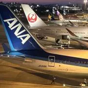 慶の画像