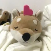chicaの画像