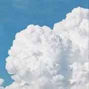 ふりまの画像