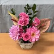 ゆみお