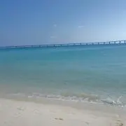 みっきーの画像