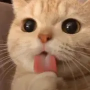 ゆぃ