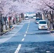 モウラ