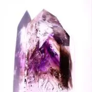 fusaの画像
