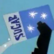 ささの画像