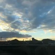 Rinの画像