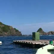 まー