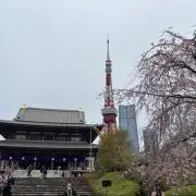 RLの画像