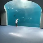 ｋの画像