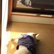 O-k-nの画像