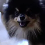 みや プロフ必読の画像