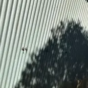 ✴︎断捨離中✴︎の画像