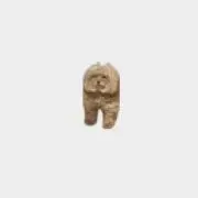 ngpascの画像