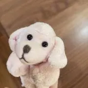 かにたまの画像