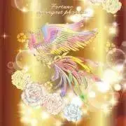 ほうおう【プロフ要必読】の画像