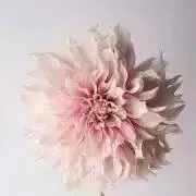 ももの画像