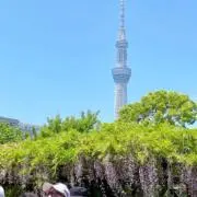 パンダッち☆断捨離中の画像