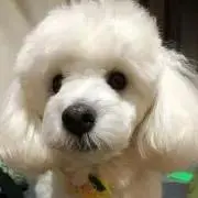 ☆スマイル☆の画像