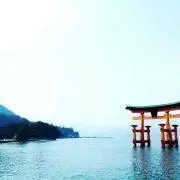 はるの画像
