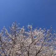 18℃の画像