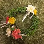 コマの画像