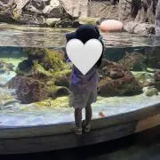 Yの画像