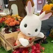 くぅまん♪の画像
