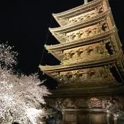 山ちゃんの画像