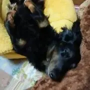 空U^q^U