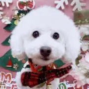 mocoの画像