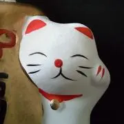 あおの画像