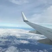 たんたん
