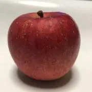 アマチュア無線用 SSTV 受信機 - メルカリ