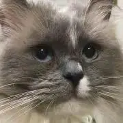 志庵