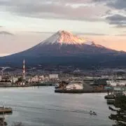 かぼちゃんの画像
