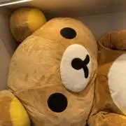 ホシ