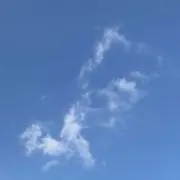 ゆんの画像