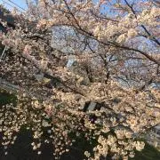 ＾＾の画像