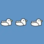 こっちゃんの画像