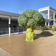 mii  プロフ確認お願いします。の画像