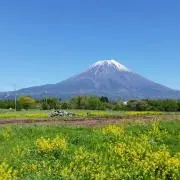 こっこの画像