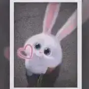 あやの画像