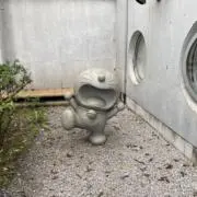 F.Yの画像